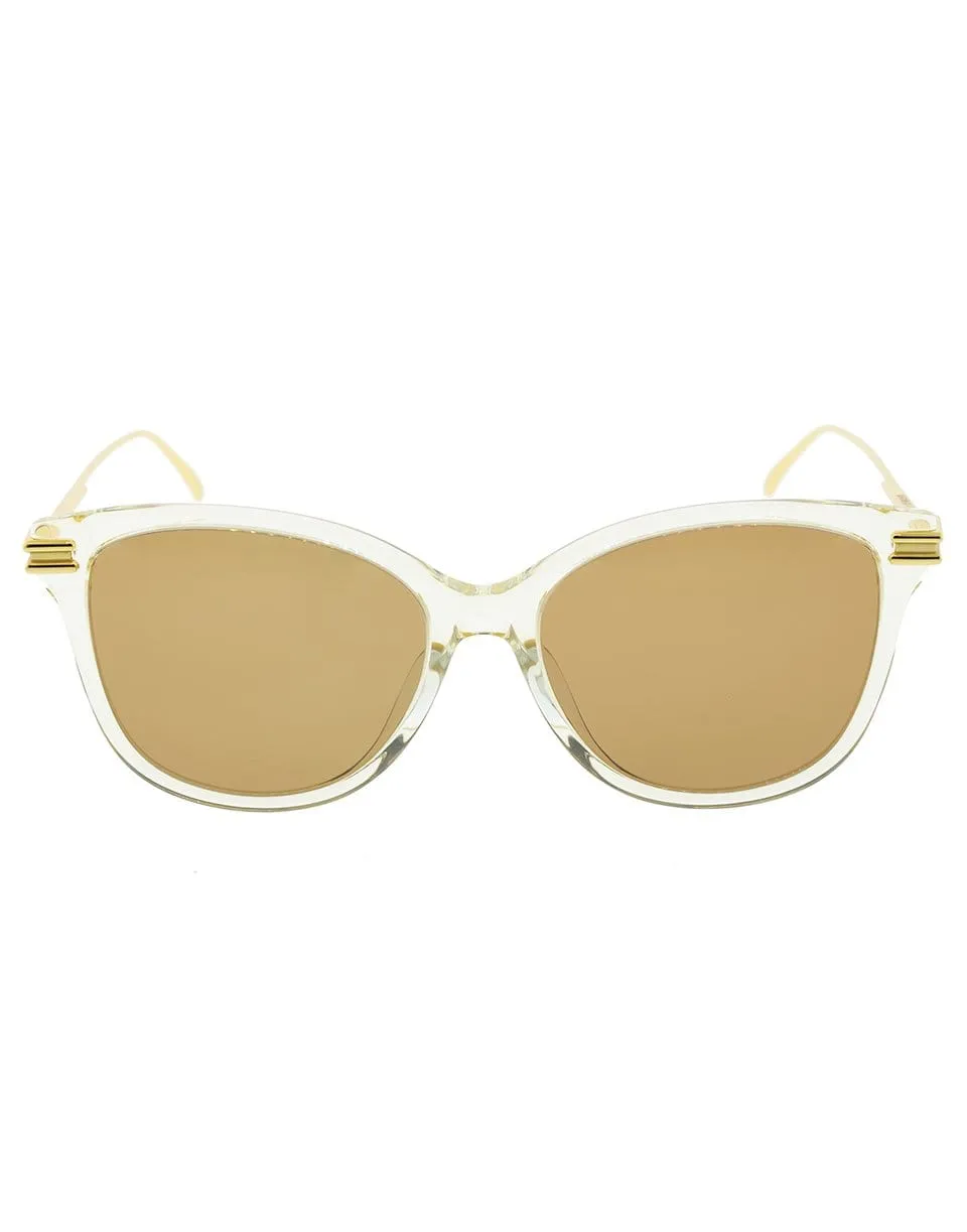 Brown and Gold Rectangle Sunglasses