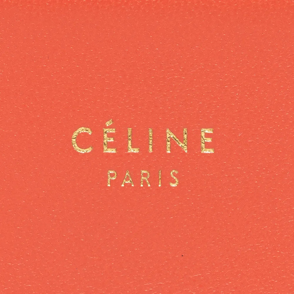 Celine Lambskin Frame Evening Clutch on Chain Crossbody Bag
