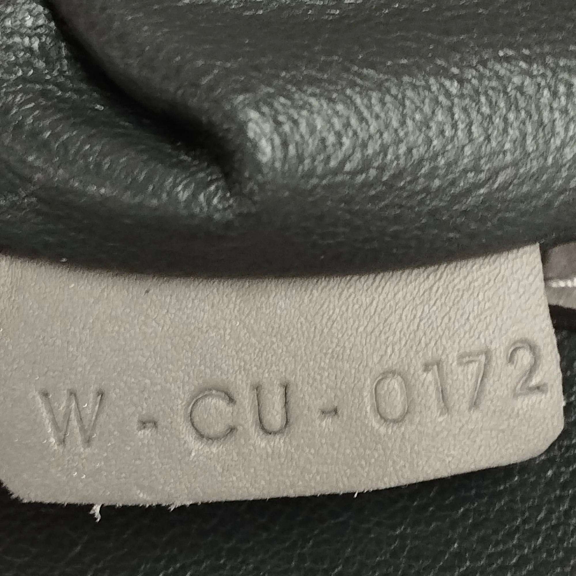 Celine Phantom Luggage Tote Bag