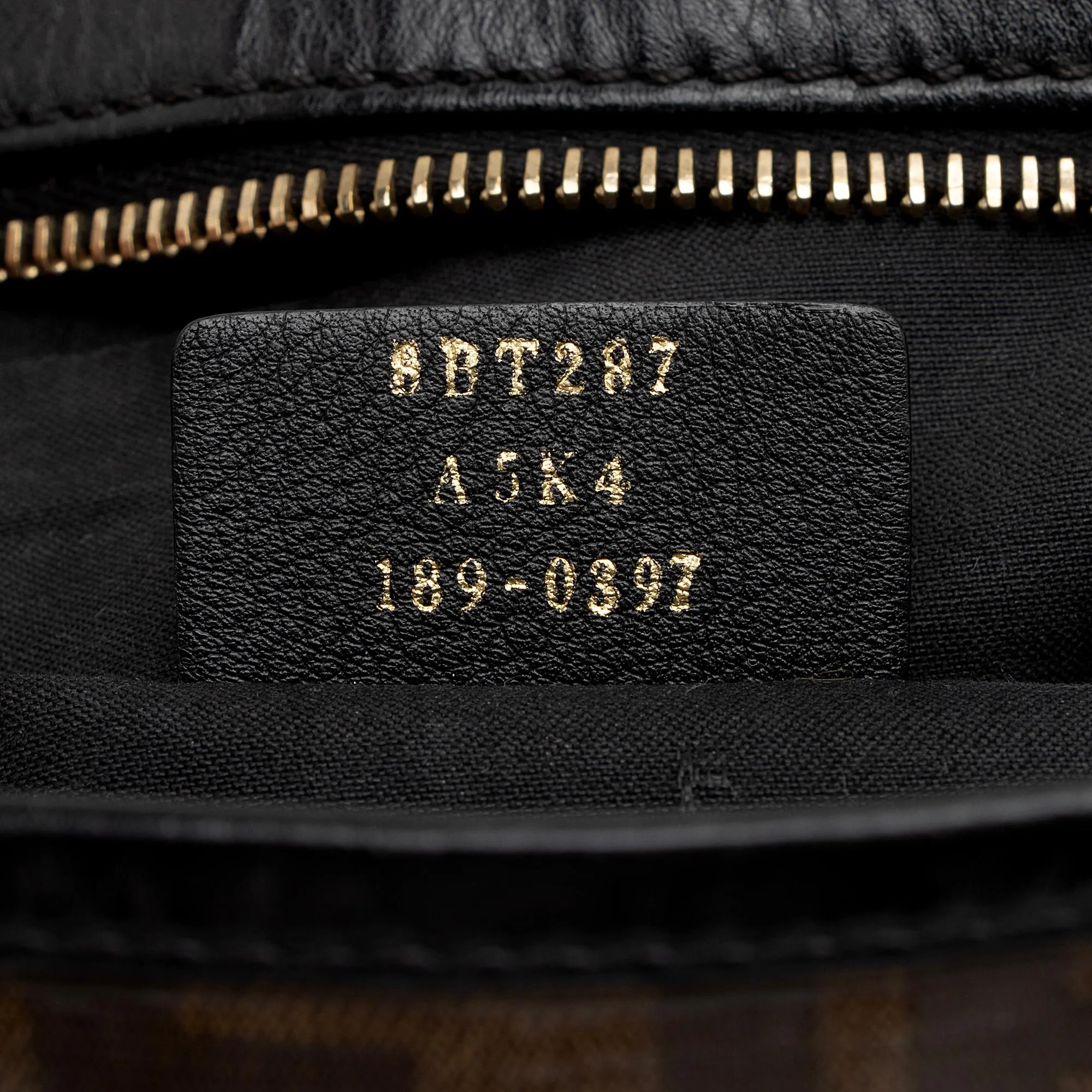 Fendi FF Spalmati Camera Case (SHF-lHcrhh)