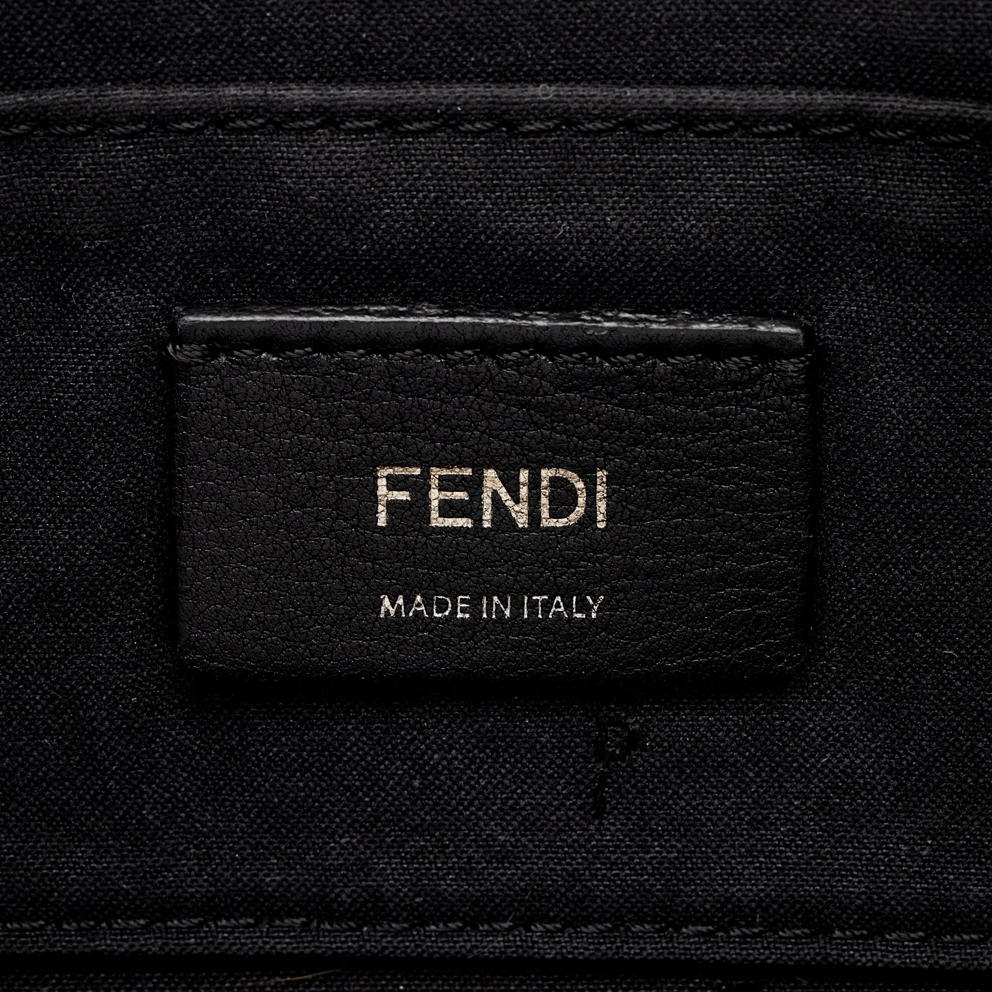 Fendi FF Spalmati Camera Case (SHF-lHcrhh)