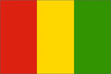 Guinea National Flag Printed