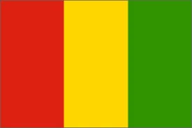 Guinea National Flag Printed