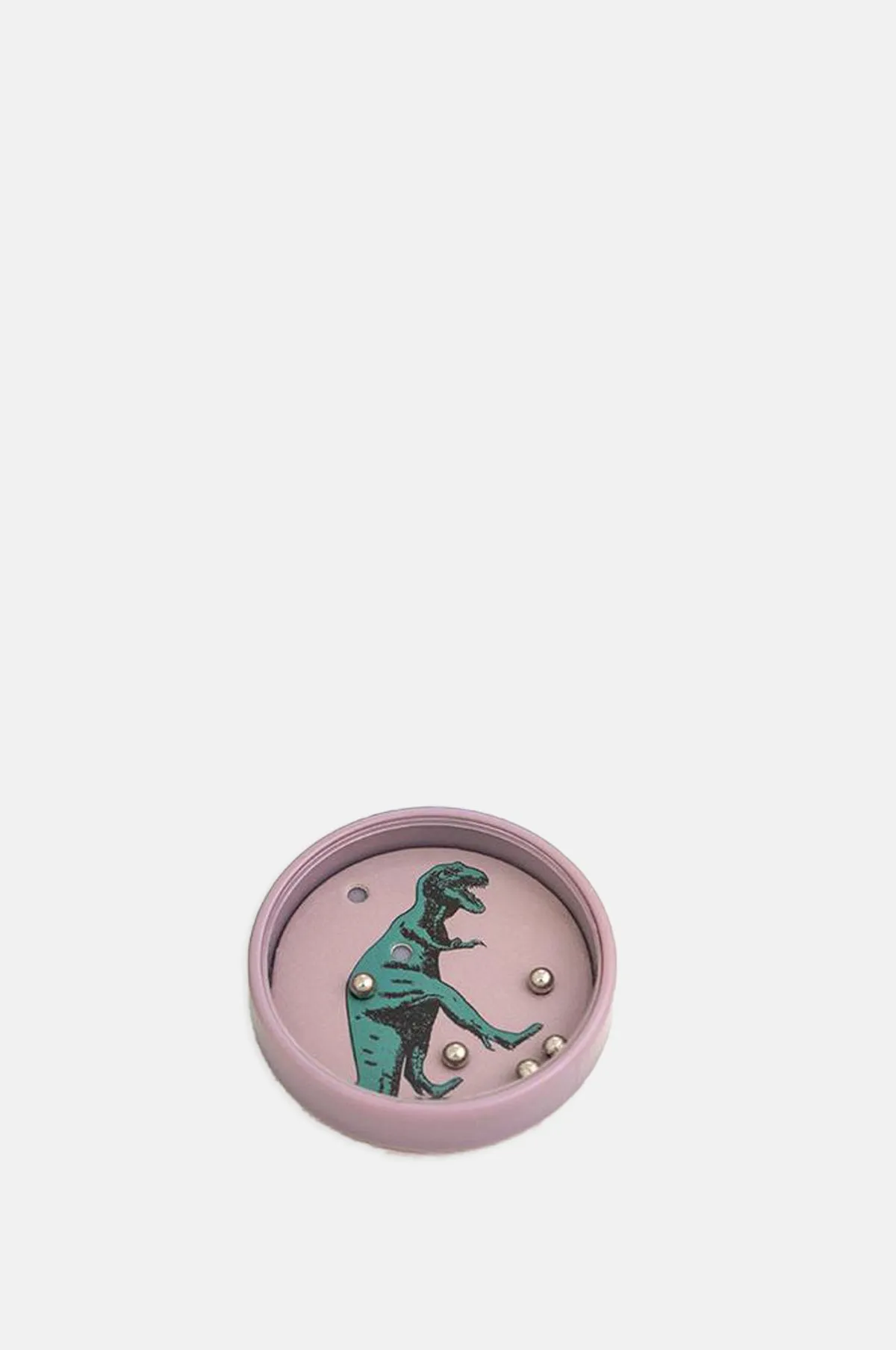 Prehistoric Land Tilt Puzzle
