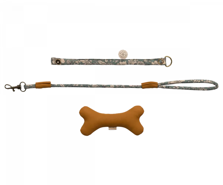 Puppy Accessories - Blue by Maileg